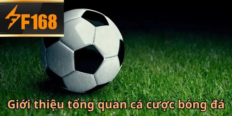 F168 nổi tiếng là sân chơi cá cược bóng đá trực tuyến